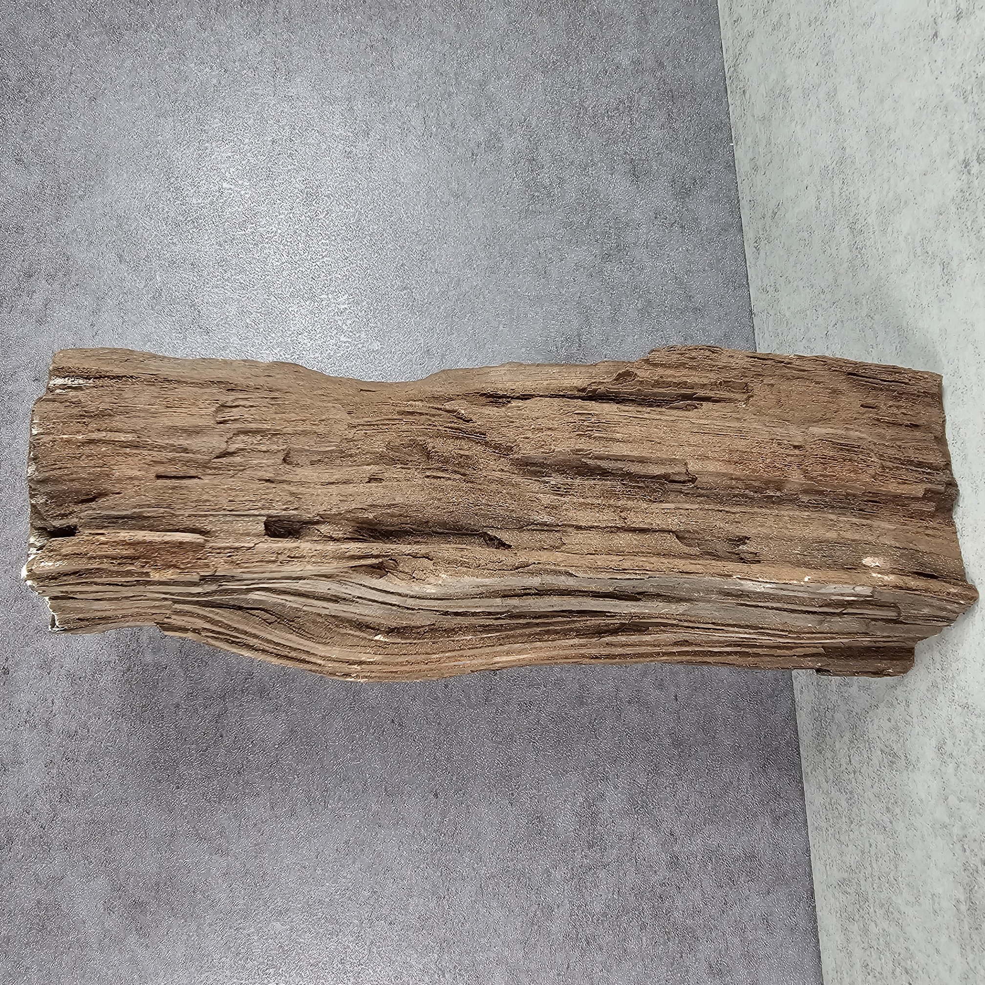 Feenholz Permineralisiertes Holz